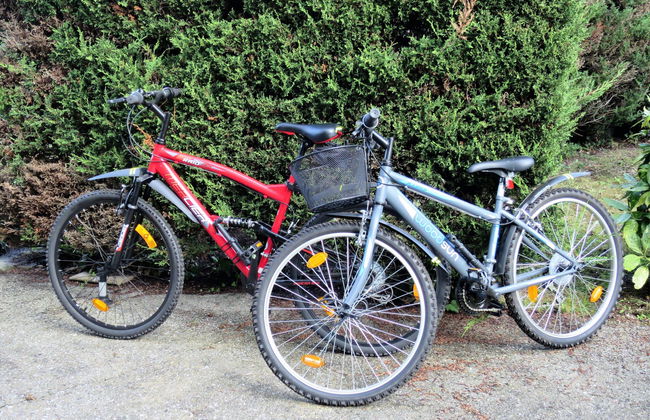 Les Hirondelles - Foto 19