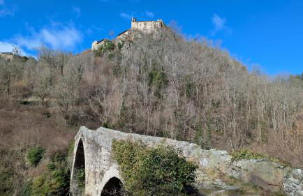 Studio en campagne - Foto 21