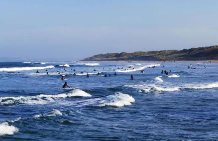 Cozy at the Causeway - Foto 33