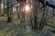 La Quercia e il Castagno Country & Relax - Foto 58