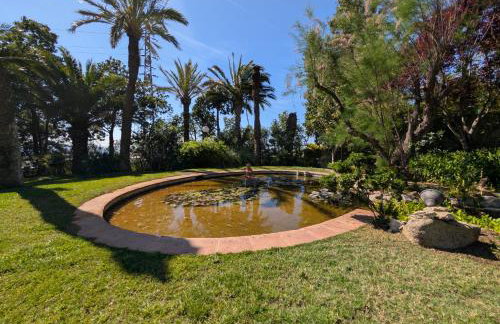 Castillo Meng - Foto 76