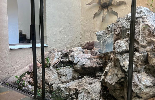 Bryanston Luxurious 4-Bed Villa - Photo 6