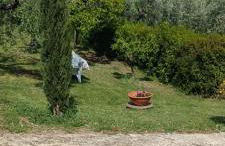 Colle Perazzoni - Foto 20