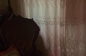 Stop Home - Foto 5