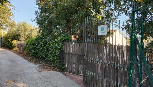 Los Tréboles - Foto 3