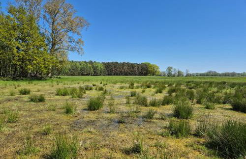 Feriendomizil im Lieper Winkel - Foto 17