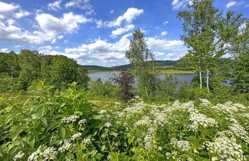 Tiny House, Neunburg vorm Wald - Foto 22