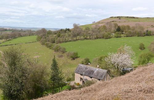 Titchbourne Cottage - Foto 17