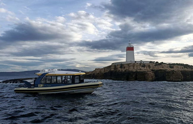 Balade en bateau sur la côte de Tasmanie - Photo 6