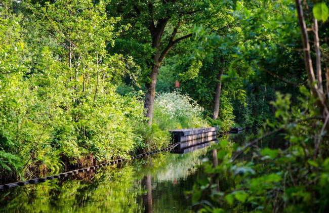 Holiday Home in Balk Near Frisian Lakes - Foto 25