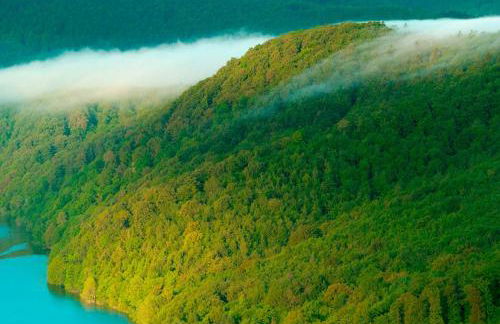 Haus Waldzeit, inclusief bedlinnen handdoeken en eindservice - Foto 25