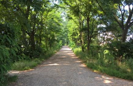 Toms Stuga Ferienwohnung - Foto 25