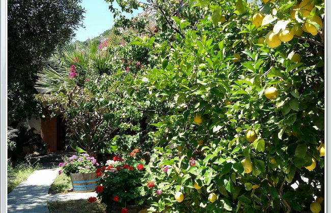 Excusive 1 Bedroom Cottage in Paleochora - Foto 14