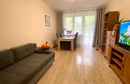 Apartament na Saperskiej, osiedle zamknięte, parking - Foto 18