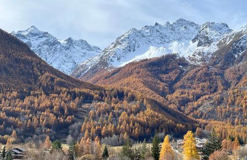 Bel appart neuf et cosy, jardinet, magnifique vue - Photo 32