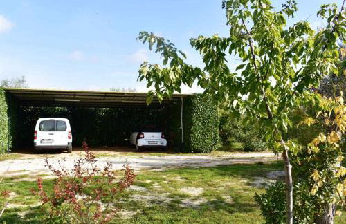 Apartments for families with children Sosi, Umag - 22546 - Photo 9