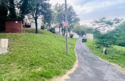 Maison familiale avec terrasse à Vieille-Brioude - Foto 40