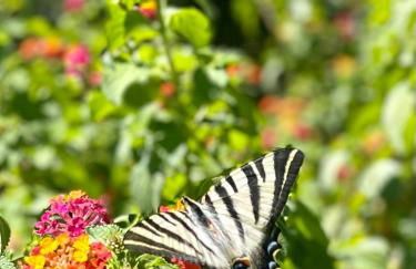 Casa da nascente douro - Foto 72