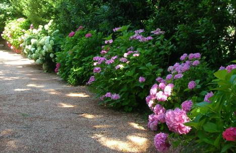 Ville Lago Lugano - Photo 47