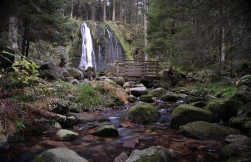RELAX CHALET Nature Retreat - isolé sur 3 hectares - confort de LUXE - maison entière 150m2 - près de La Bresse - Foto 56