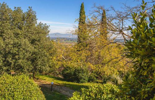 Podere Mencoini, stylish villa with private pool and olive garden - Photo 44