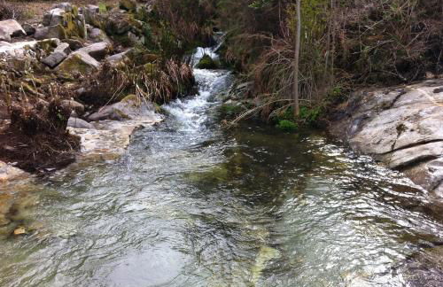 Quinta Porto dos Lobos - Foto 40
