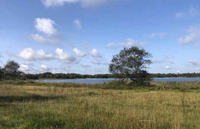 5 Person Holiday Home in Ansager - Foto 32