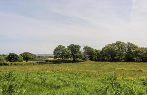 Tyddyn Parthle Pod 1 - Foto 17