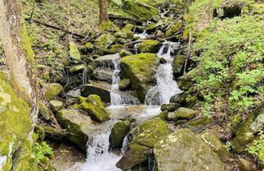 The Yellow Cottage By Tims Ford Lake - Foto 24