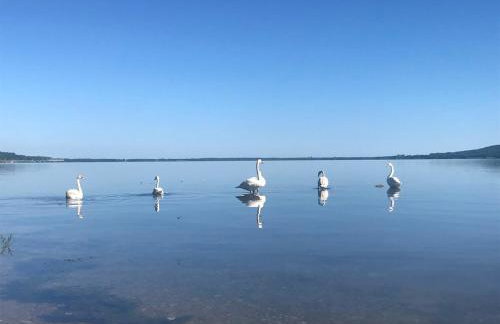 Willa Paulina - Foto 25