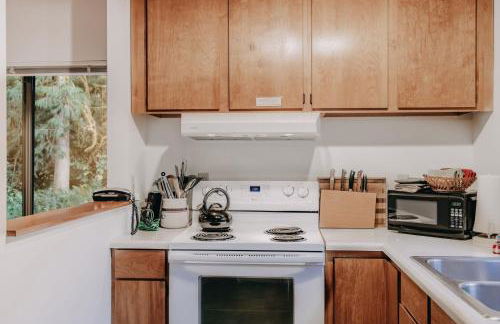 Silver Lake #67 - Foto 15