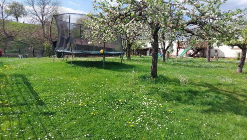 Fewo Gerda im schönen Odw - Foto 2