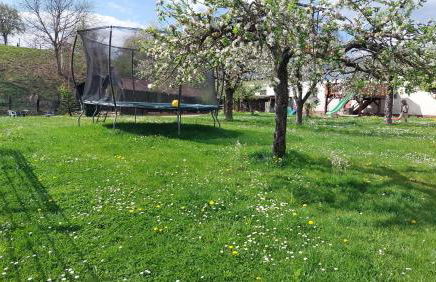 Fewo Gerda im schönen Odw - Foto 2