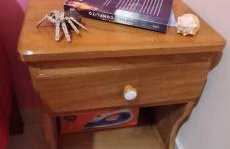 Residencia Moraes 1 - Foto 20