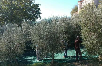 La Fortezza Alta - Foto 73