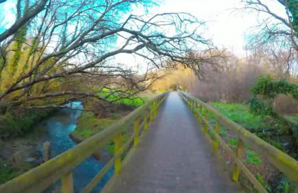 Casa do Cascão - Foto 23