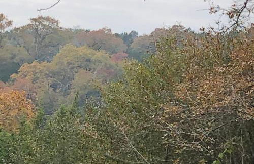 Perfect Country-Side Get-Away - Photo 36