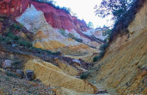 Les Dentelles du Ventoux - Gîte avec Piscine - Photo 25
