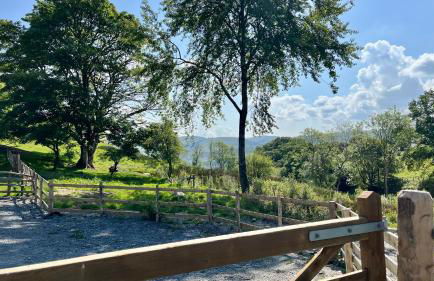 Peaceful Dyfi Valley Cottage - Hendre-gau - Photo 40