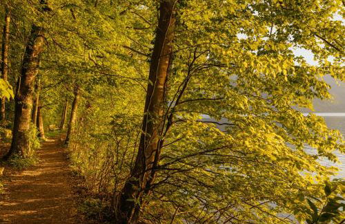 Haus Herzogstand - Ferienwohnungen in Kochel am See - Foto 45