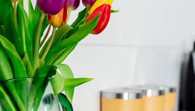 The Clifford Gathering - Sleeps Up To 10 York - Foto 3, Habitación