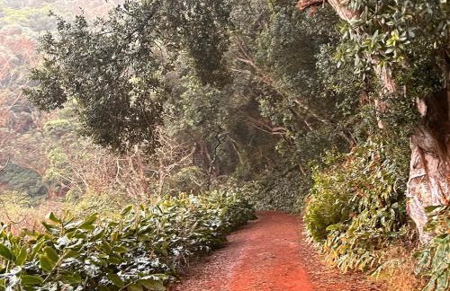 Casa do Postigo Rustic Refuge to Relax - Photo 10