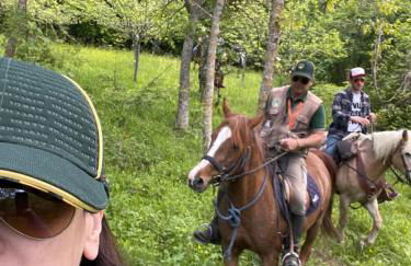 La Dimora di Armida - Foto 13