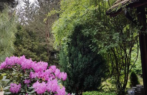 Jeżynowy Domek - Sulistrowice - Photo 27