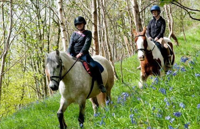 Cutlar's Lodge - Foto 11