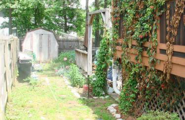 Severn House - Foto 13