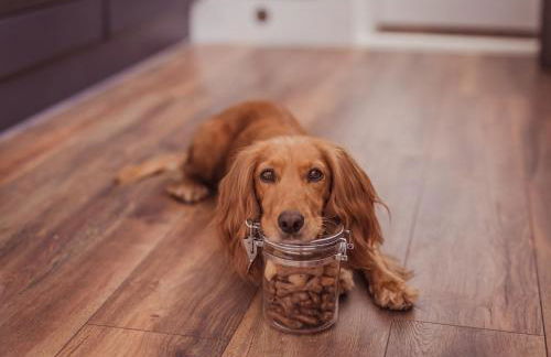 Cottage, Hot Tub, Open fire, Games Room, large Garden Sleeps 2-8 - Foto 71