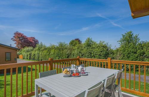 Red Robin - Uk49581 - Foto 16