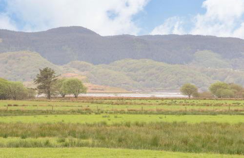 Seaview-Barsloisnach Cottage - Foto 59