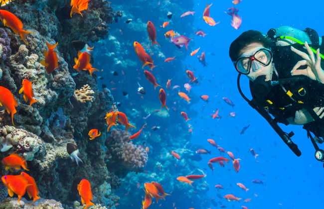 Immersione per principianti a Gran Canaria - Foto 1